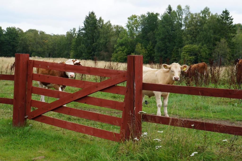 Gavetorps Gard Vakantieboerderij *